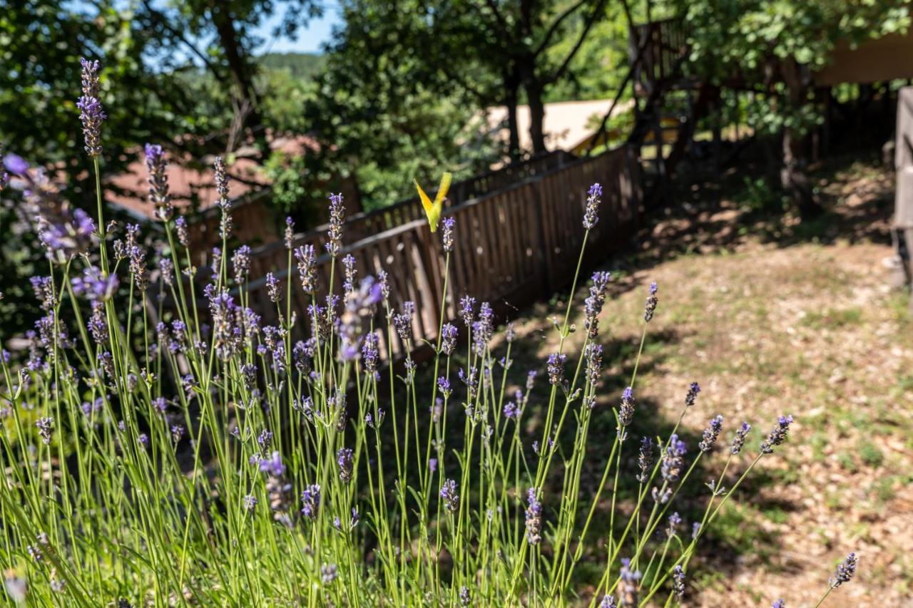 Domaine De Chalveches Hotel Spa 4* Faugeres  Bagian luar foto