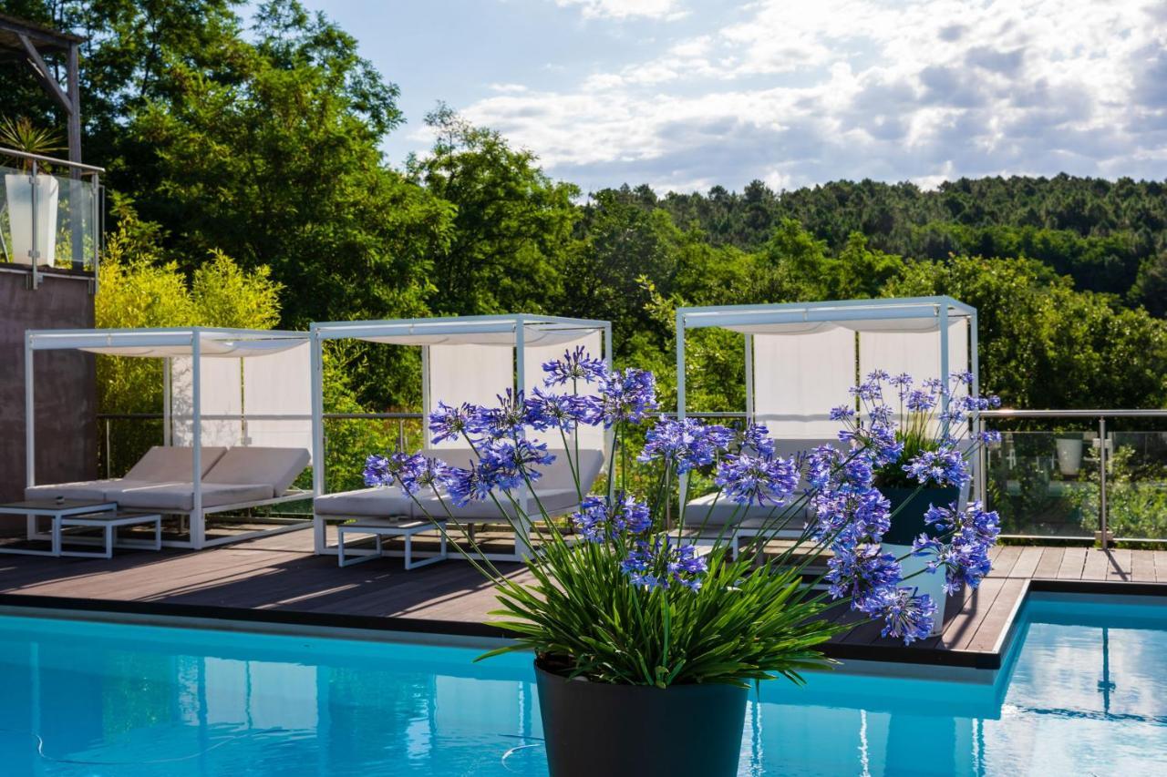 Domaine De Chalveches Hotel Spa 4* Faugeres  Bagian luar foto