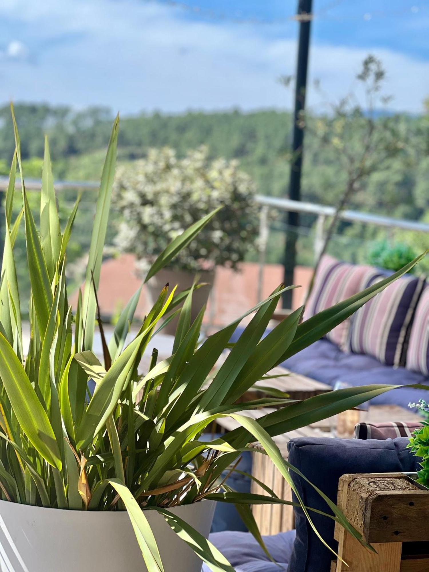 Domaine De Chalveches Hotel Spa 4* Faugeres  Bagian luar foto